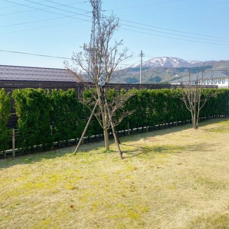 木は暮らしのパートナー
