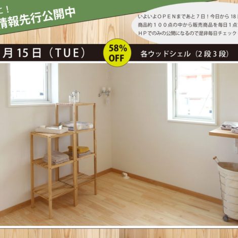 FurniturestoreHAGUMI 先行配信vol.05